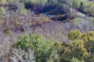 14807 US Hwy 175, LaRue, TX 75770 - Photo 31