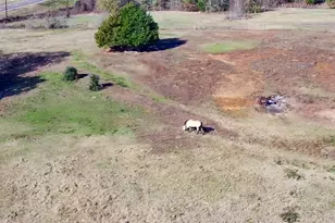 14807 US Hwy 175, LaRue, TX 75770 - Photo 33