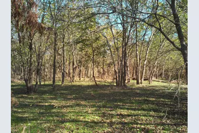 000 N Mlk Jr Highway, Mexia, TX 76667 - Photo 5