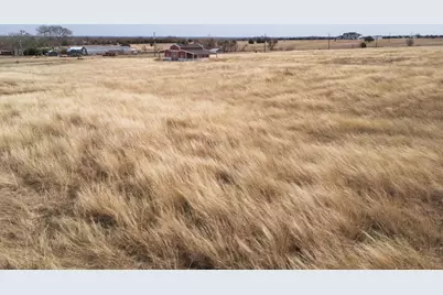 Tbd County Rd 501, Blue Ridge, TX 75424 - Photo 25