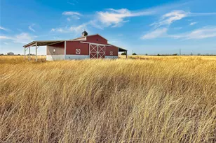 Tbd County Rd 501, Blue Ridge, TX 75424 - Photo 1