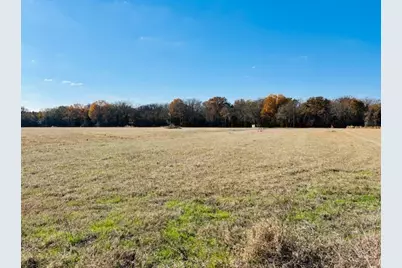 954 County Road 1813, Yantis, TX 75773 - Photo 5