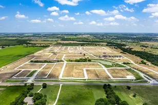 1729 Buck Trl, Celina, TX 75009 - Photo 17