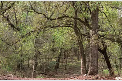 Tract 7, Tbd County Road 3204, Abbott, TX 76621 - Photo 3