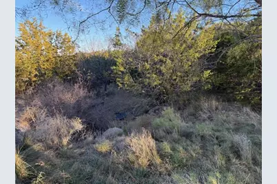 Lot 30 Glen Abbey Drive, Possum Kingdom Lake, TX 76449 - Photo 7