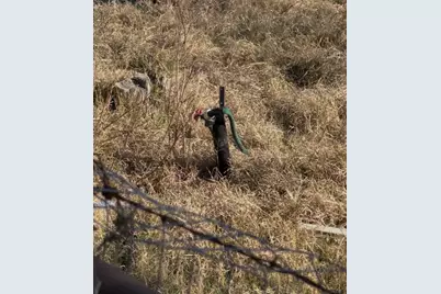 3175 County Road 1110, Corsicana, TX 75110 - Photo 3