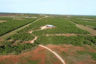 136 Co Rd 499, Abilene, TX 79601 - Photo 21