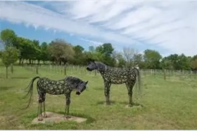 Lot #8 Summit Oak, Denison, TX 75020 - Photo 5