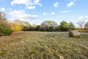 6652 - E Fm 1396, Telephone, TX 75488 - Photo 29