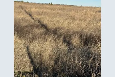 9999 Cr-699, Farmersville, TX 75442 - Photo 9