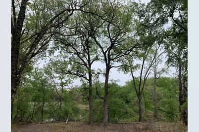 1039 & 1033 Creek Crossing Road, Nemo, TX 76070 - Photo 9