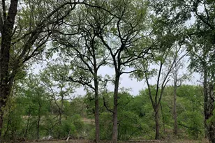 1039 & 1033 Creek Crossing Rd, Nemo, TX 76070 - Photo 9