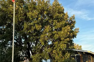 915 Old Stephenville Rd, Hico, TX 76457 - Photo 7