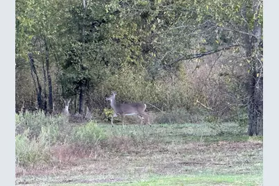 915 Old Stephenville Road, Hico, TX 76457 - Photo 3