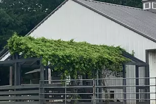 1077 Cardinal Dr, Bartonville, TX 76226 - Photo 31