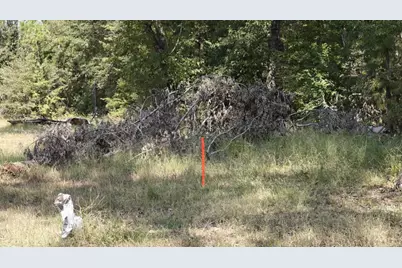 14895 County Road 26, Tyler, TX 75707 - Photo 3