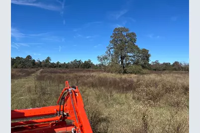 Tbd Pr 1315, Centerville, TX 75833 - Photo 3