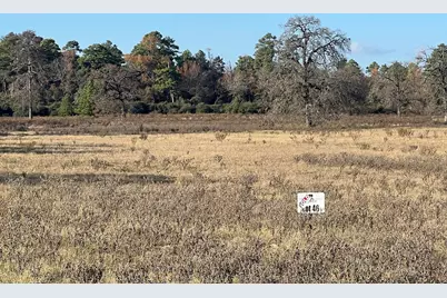 Tbd Pr 1315, Centerville, TX 75833 - Photo 5