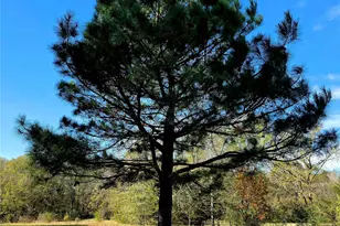 12776 Valverde Loop, Terrell, TX 75161 - Photo 21