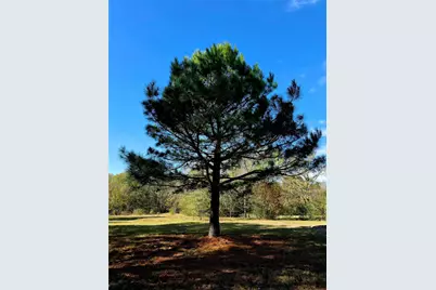 12776 Valverde Loop, Terrell, TX 75161 - Photo 11