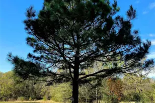 12776 Valverde Loop, Terrell, TX 75161 - Photo 11