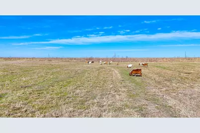 Lot 22 NW Private Road 1270A #Paso Robles, Corsicana, TX 75110 - Photo 1