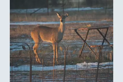 2376 Fm 2264, Decatur, TX 76234 - Photo 9