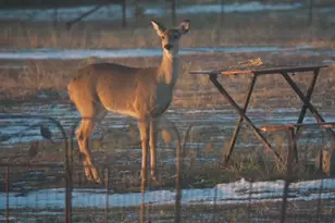 2376 Fm 2264, Decatur, TX 76234 - Photo 9