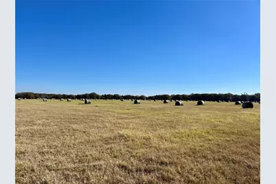 300 County Road 2100 Road, Seven Points, TX 75143 - Photo 5