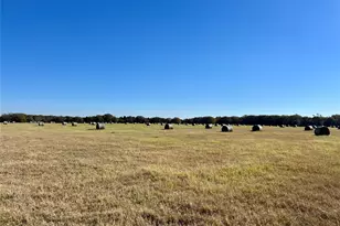 300 County Road 2100 Rd, Seven Points, TX 75143 - Photo 5