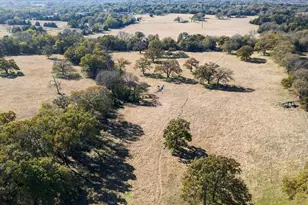 300 County Road 2100 Rd, Seven Points, TX 75143 - Photo 13