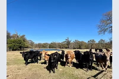 300 County Road 2100 Road, Seven Points, TX 75143 - Photo 7