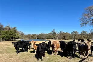 300 County Road 2100 Rd, Seven Points, TX 75143 - Photo 7