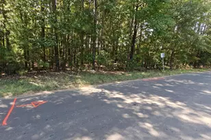 24068 County Rd 244, Overton, TX 75684 - Photo 1