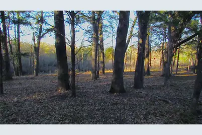 Tbd County Road 4736, Cumby, TX 75433 - Photo 5