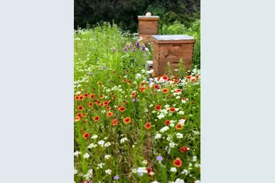 144 Emerald Drive, Weatherford, TX 76087 - Photo 37