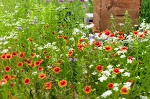 144 Emerald Dr, Weatherford, TX 76087 - Photo 37