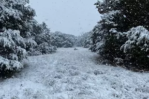 144 Emerald Dr, Weatherford, TX 76087 - Photo 39