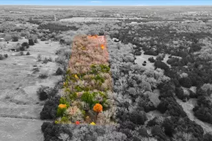 3239 Co Rd 660, Farmersville, TX 75442 - Photo 7