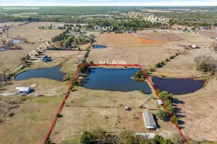 289 Pvt Rd 8303, Ben Wheeler, TX 75754 - Photo 3