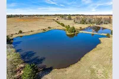 289 Pvt Rd 8303, Ben Wheeler, TX 75754 - Photo 39