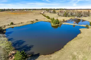 289 Pvt Rd 8303, Ben Wheeler, TX 75754 - Photo 39