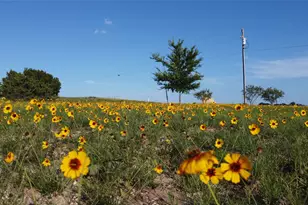601 Hollow Dr, Lipan, TX 76462 - Photo 39