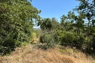 952 Lake Rd, Gordonville, TX 76245 - Photo 19