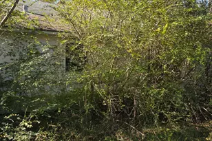 908 Burns St, Kilgore, TX 75662 - Photo 17