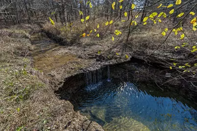 109 Falls Creek Lane, Gunter, TX 75058 - Photo 5