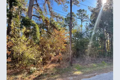 0 Philip Place, Frankston, TX 75763 - Photo 3