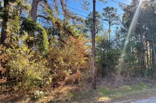 0 Philip Pl, Frankston, TX 75763 - Photo 3