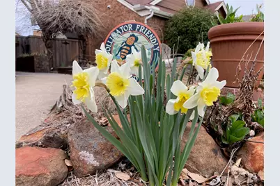 2024 Feather Lane, Lewisville, TX 75077 - Photo 27