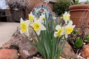 2024 Feather Ln, Lewisville, TX 75077 - Photo 27